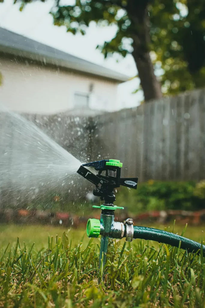 arrosage avec l'eau de pluie